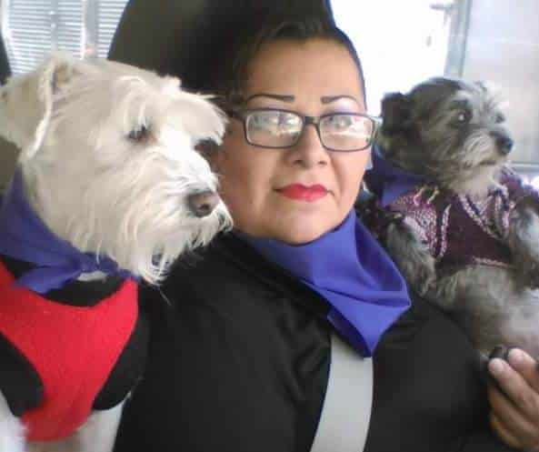 Lupita Guerra, Directora de Properro